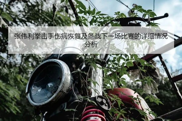 张伟利拳击手伤病恢复及备战下一场比赛的详细情况分析